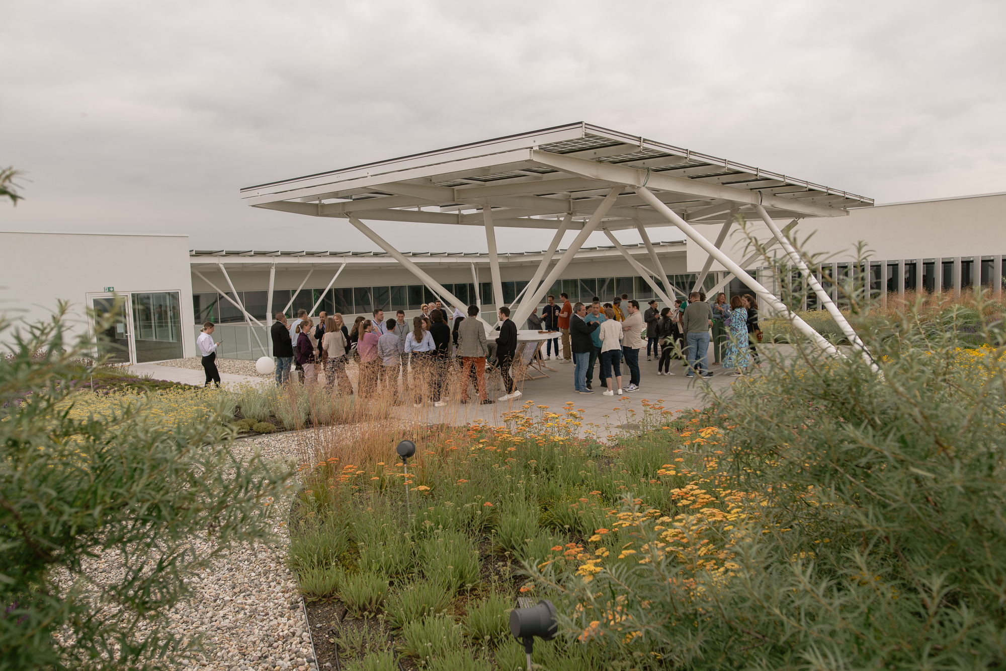 legiapark_evenement_rooftop_2024