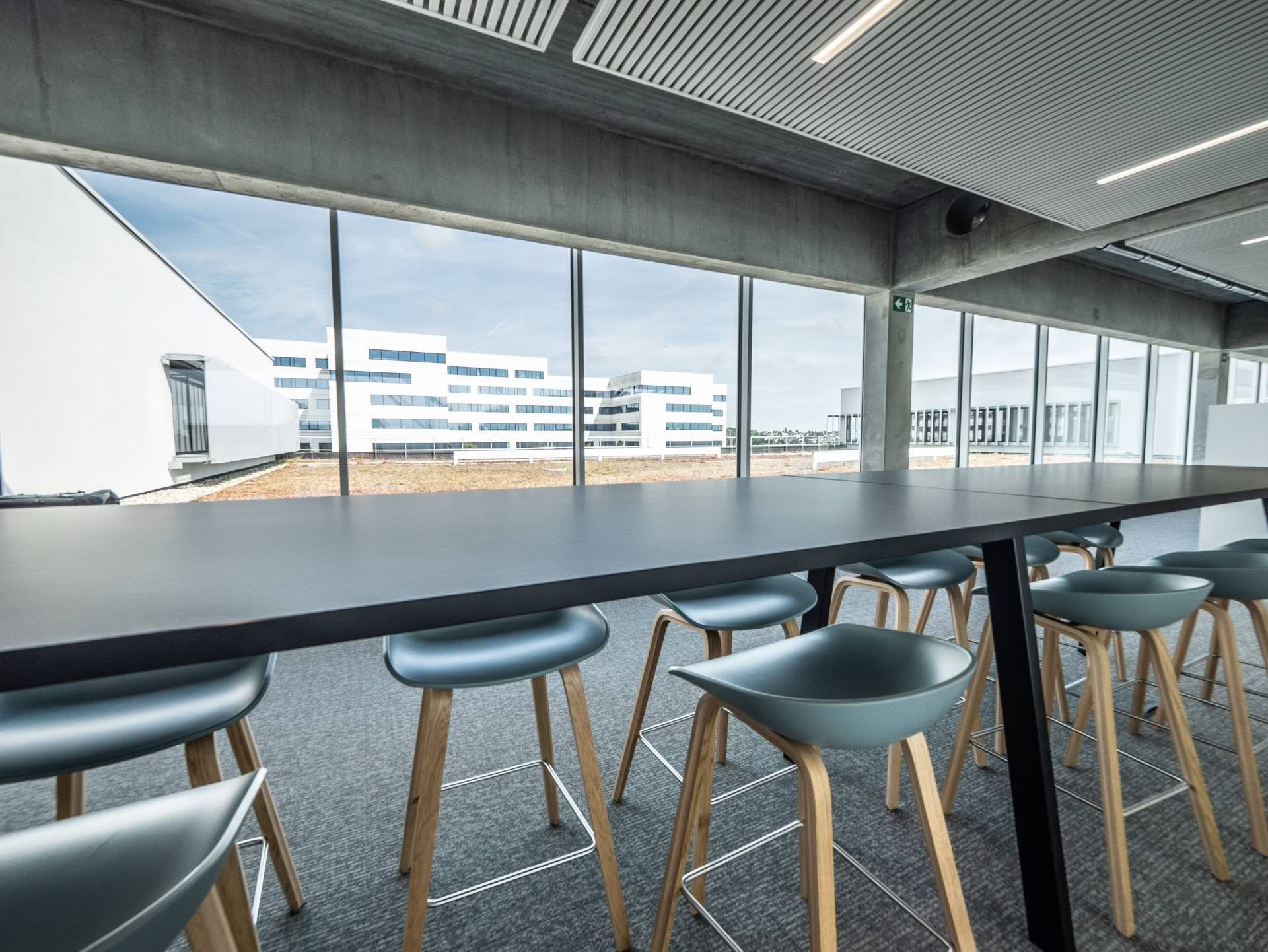 P1012150-optimized (1)