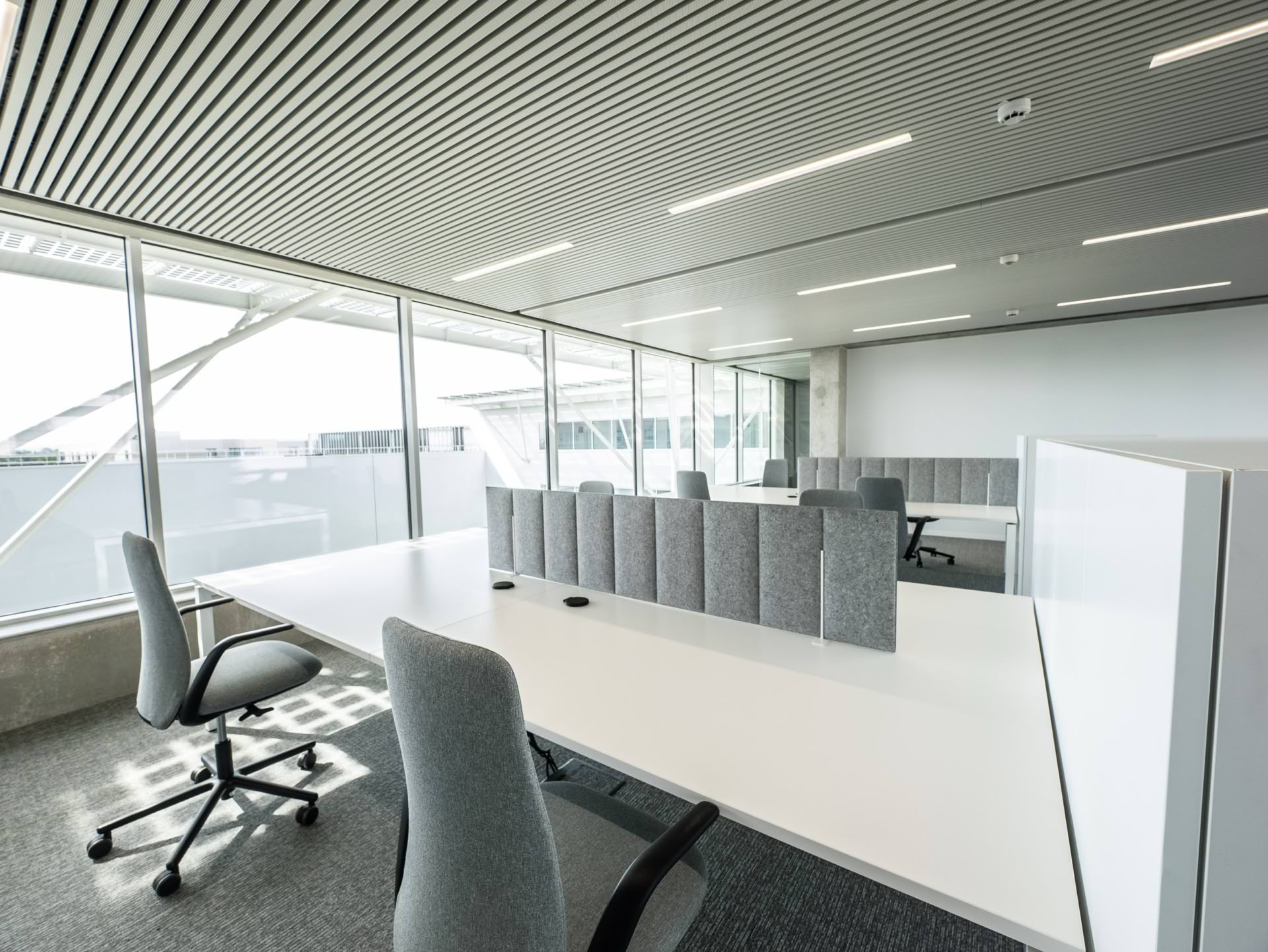 P1012151-optimized (1)