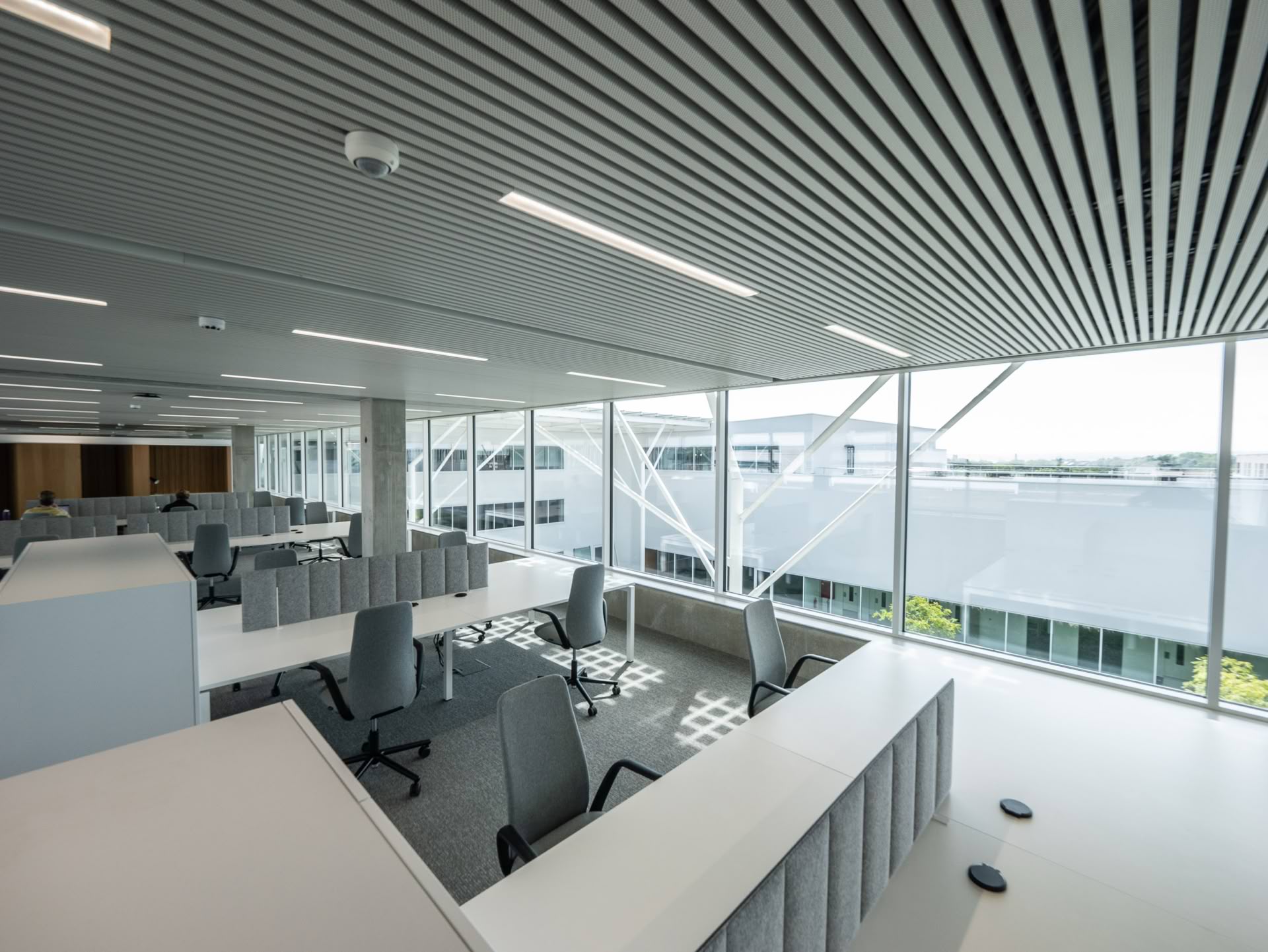 P1012157-optimized (1)